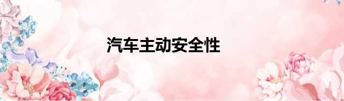 汽车主动安全性