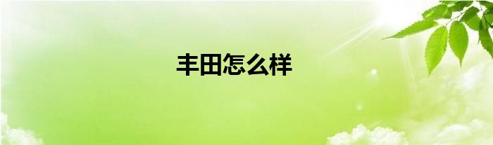 丰田怎么样