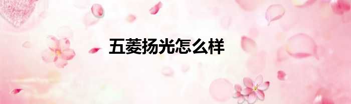 五菱扬光怎么样