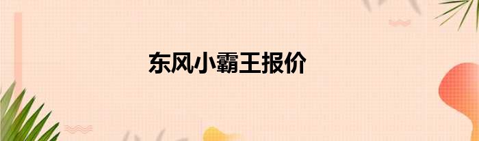 东风小霸王报价