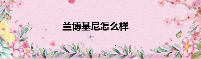兰博基尼怎么样