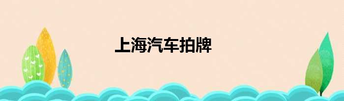 上海汽车拍牌