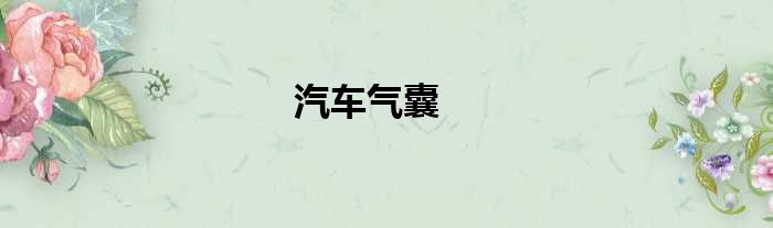 汽车气囊