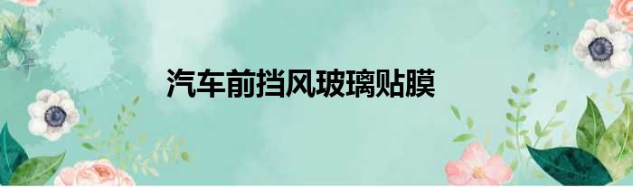 汽车前挡风玻璃贴膜