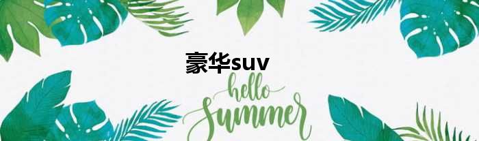 豪华suv