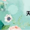 天津一汽丰田发动机