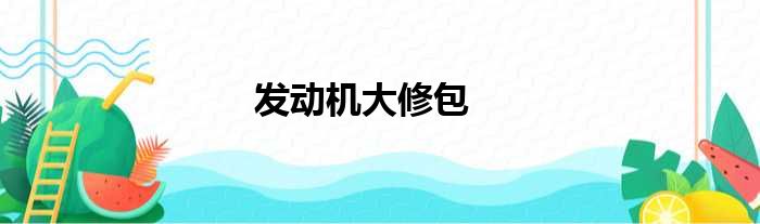发动机大修包