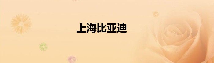 上海比亚迪