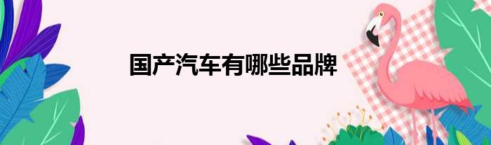 国产汽车有哪些品牌