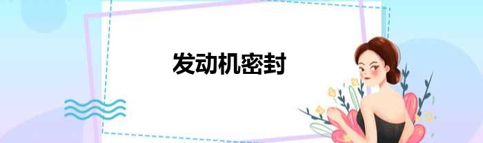 发动机密封