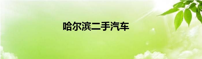 哈尔滨二手汽车
