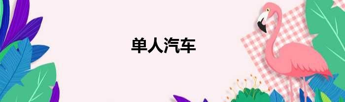 单人汽车
