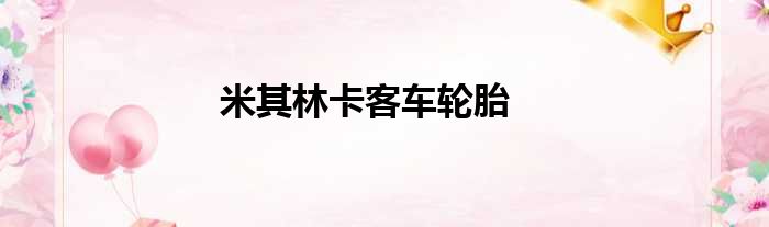 米其林卡客车轮胎