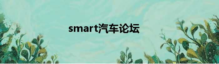 smart汽车论坛