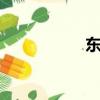 东风悦达起亚k3视频