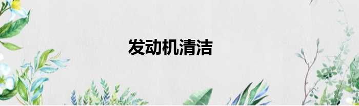 发动机清洁