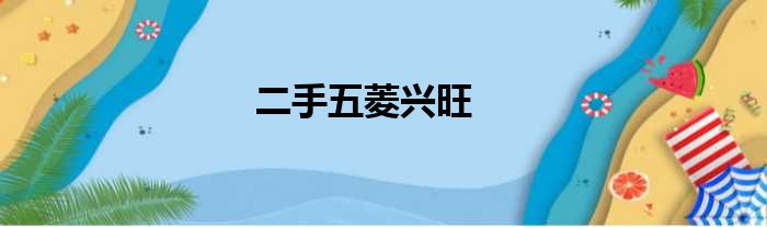 二手五菱兴旺