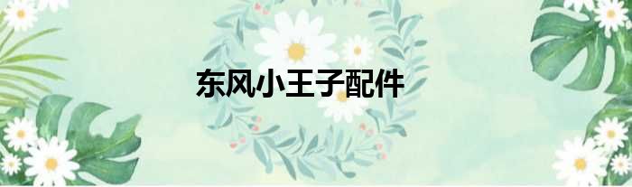 东风小王子配件