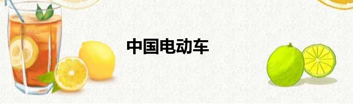 中国电动车