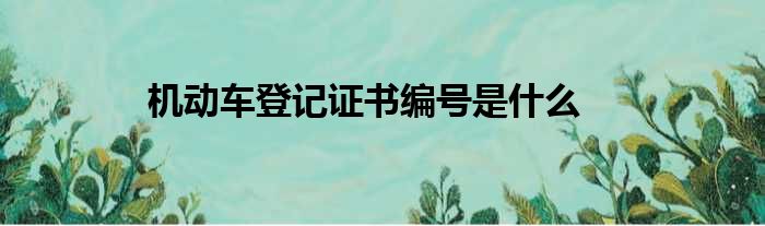 机动车登记证书编号是什么