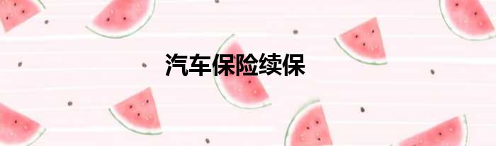 汽车保险续保