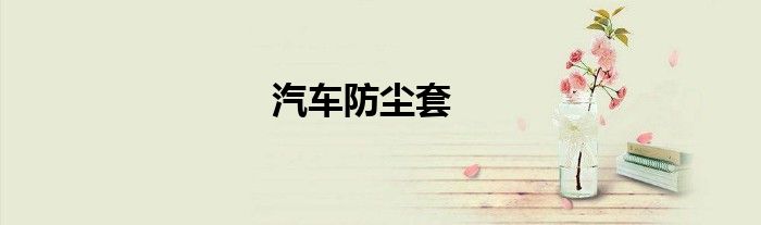 汽车防尘套