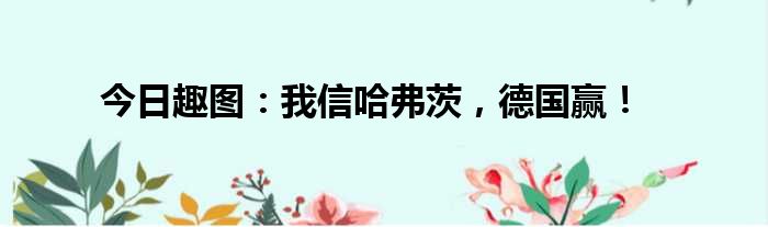 今日趣图：我信哈弗茨，德国赢！