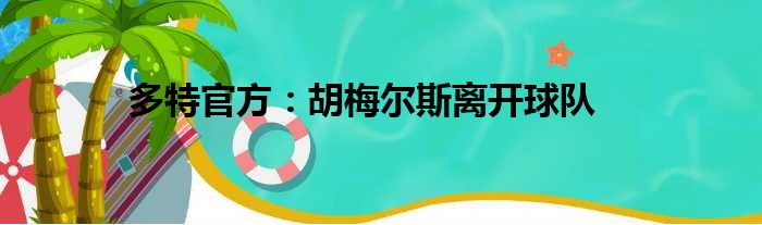 多特官方：胡梅尔斯离开球队