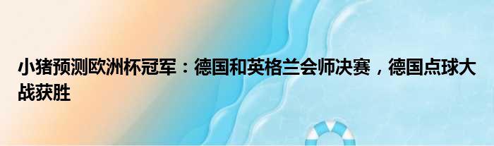 小猪预测欧洲杯冠军：德国和英格兰会师决赛，德国点球大战获胜