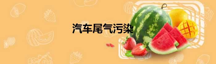汽车尾气污染