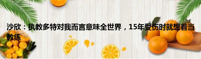 沙欣：执教多特对我而言意味全世界，15年受伤时就想着当教练