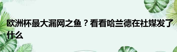 欧洲杯最大漏网之鱼？看看哈兰德在社媒发了什么