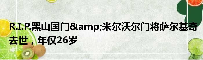 R.I.P.黑山国门&米尔沃尔门将萨尔基奇去世，年仅26岁
