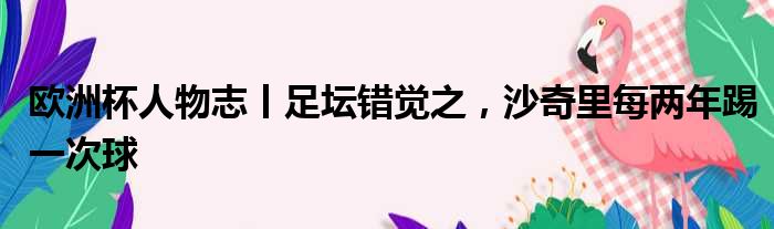 欧洲杯人物志丨足坛错觉之，沙奇里每两年踢一次球