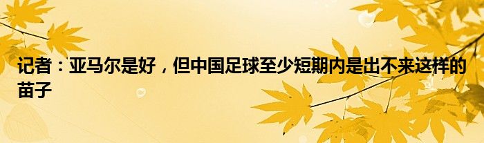 记者：亚马尔是好，但中国足球至少短期内是出不来这样的苗子