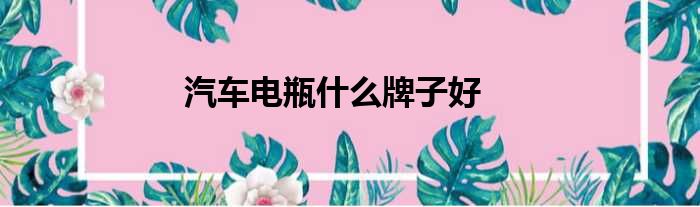汽车电瓶什么牌子好