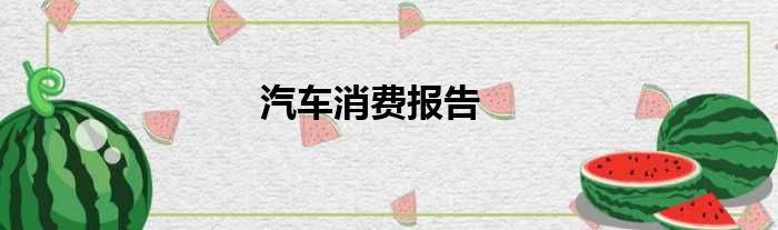 汽车消费报告