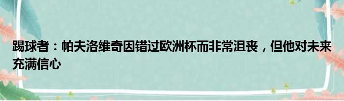 踢球者：帕夫洛维奇因错过欧洲杯而非常沮丧，但他对未来充满信心