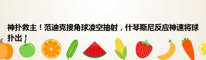 神扑救主！范迪克接角球凌空抽射，什琴斯尼反应神速将球扑出！