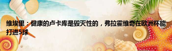 维埃里：健康的卢卡库是毁灭性的，弗拉霍维奇在欧洲杯能打进5球