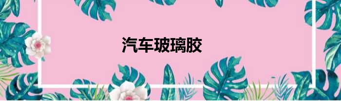 汽车玻璃胶