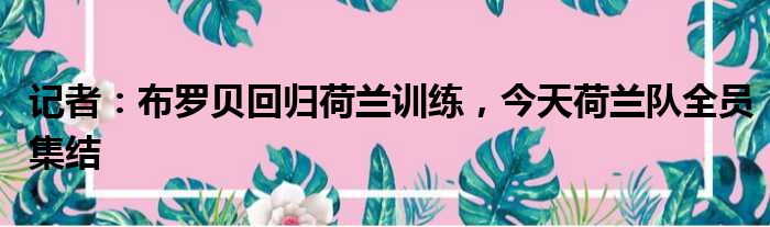 记者：布罗贝回归荷兰训练，今天荷兰队全员集结