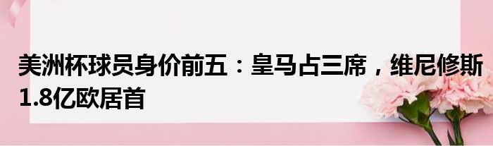 美洲杯球员身价前五：皇马占三席，维尼修斯1.8亿欧居首