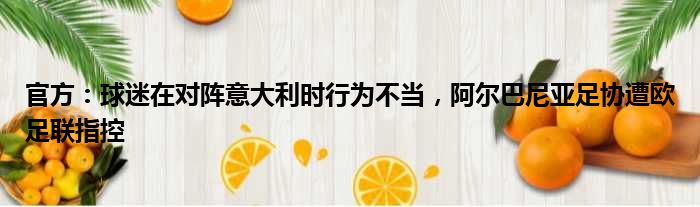 官方：球迷在对阵意大利时行为不当，阿尔巴尼亚足协遭欧足联指控