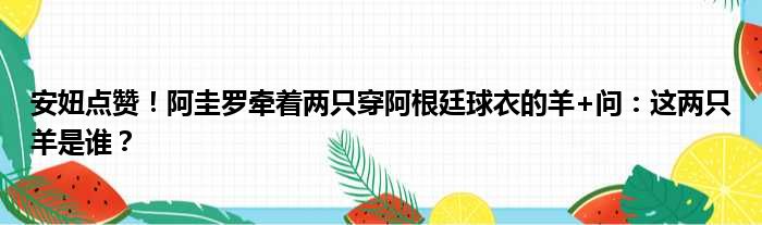 安妞点赞！阿圭罗牵着两只穿阿根廷球衣的羊+问：这两只羊是谁？