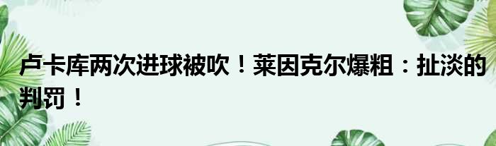 卢卡库两次进球被吹！莱因克尔爆粗：扯淡的判罚！