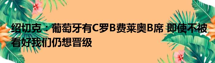 绍切克：葡萄牙有C罗B费莱奥B席 即使不被看好我们仍想晋级