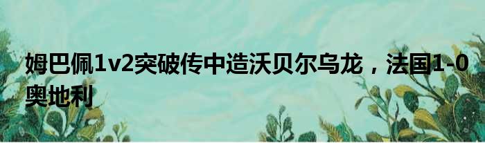 姆巴佩1v2突破传中造沃贝尔乌龙，法国1-0奥地利