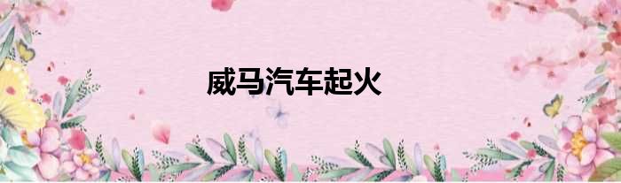 威马汽车起火