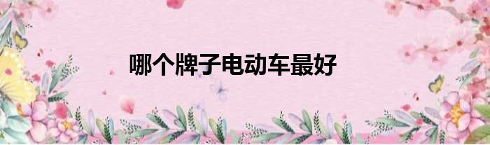哪个牌子电动车最好